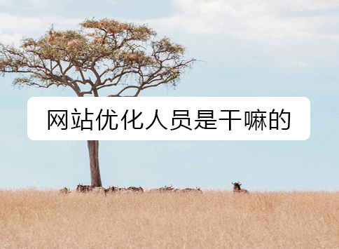 网站优化人员是干嘛的？