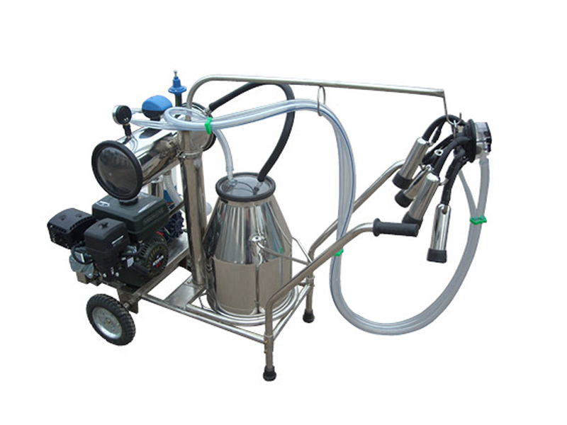 Factors affecting the performance of milking machines