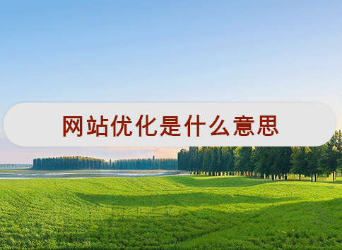 网站优化是什么意思？