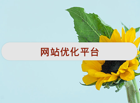 网站优化平台