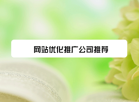 网站优化推广公司推荐