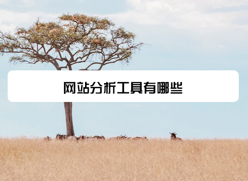 网站分析工具有哪些?
