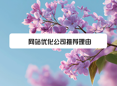网站优化公司推荐理由
