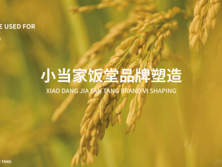 小当家品牌VI
