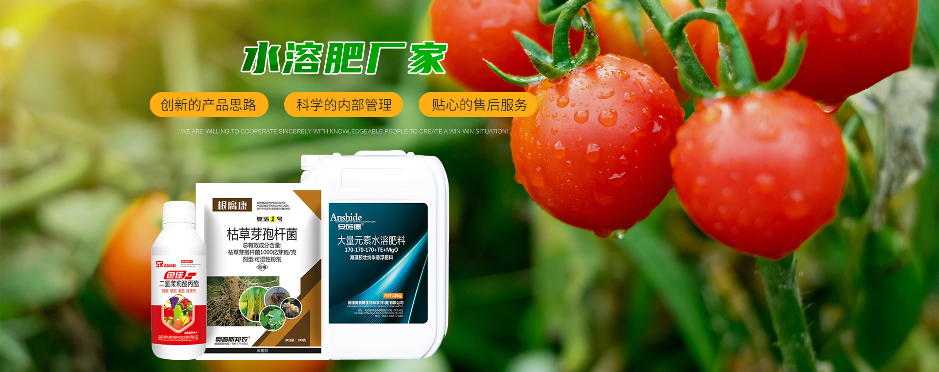 山东奥普斯生物科技股份有限公司