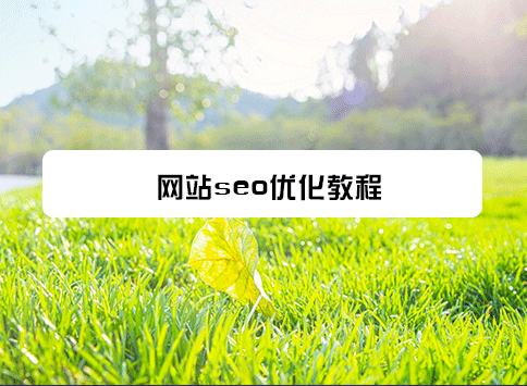 网站seo优化教程