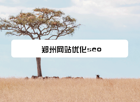 郑州网站优化seo