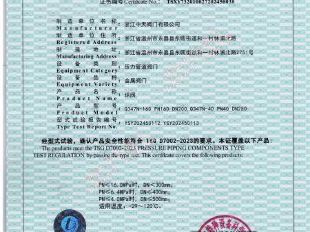 特种设备型式试验证书打印版