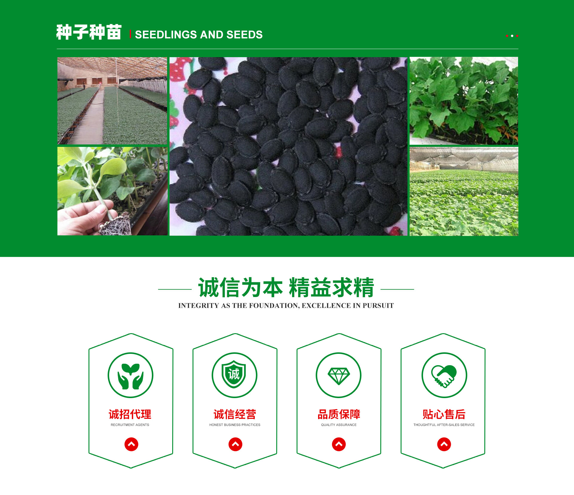 寿光市农伯乐生物科技有限公司