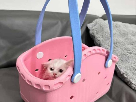 6473  EVA宠物包包