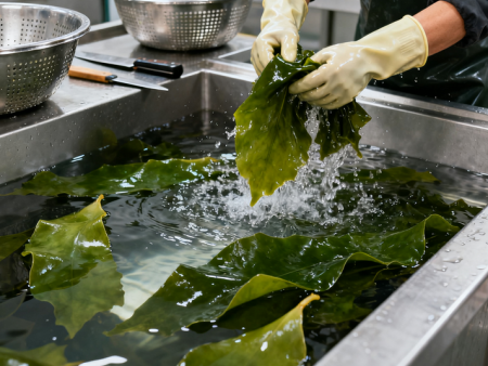 科技助力,打通海带产业“经脉”