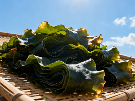 海带之都！约有一半海带产量来自荣成