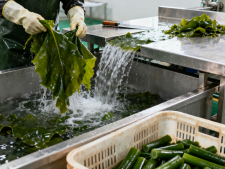 巧吃海带解“秋乏”