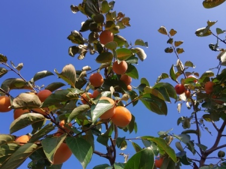 微信图片_20251010155116_61_2307