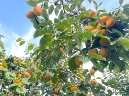 微信图片_20251010154612_56_2307