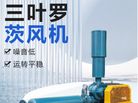 罗茨风机污水处理化工生活工业废水处理源头工厂三叶罗茨鼓风机