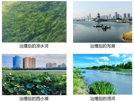 雷克环境中标霍邱县城东湖黄泊渡码头水环境整治工程项目