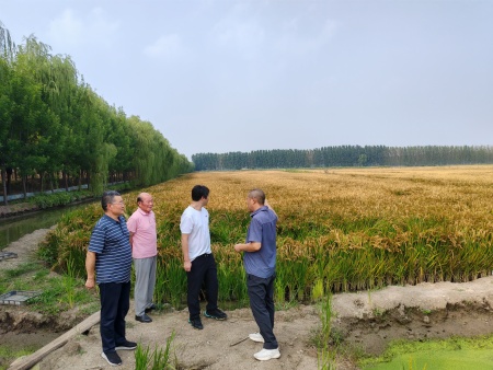 食品安全报社主任，李楠俄罗斯回国博士一行人员种植基地参观考察