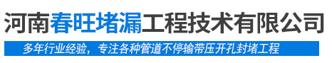 河南春旺堵漏工程技术有限公司