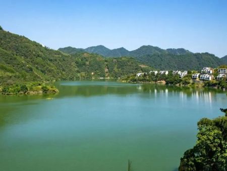 九江市八里湖新区党工委副书记、管委会主任刘华芸一行考察黄山丰乐水库项目