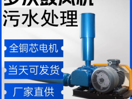 罗茨风机污水处理化工生活工业废水处理源头工厂三叶罗茨鼓风机