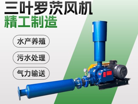 现货罗茨风机水产养殖污水处理耐高温防腐不锈钢三叶罗茨风机厂家