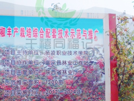 万柿吉·狮子头花椒