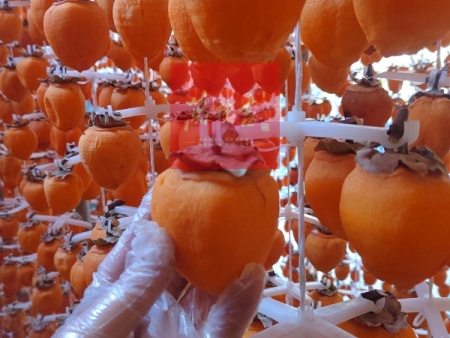 万柿吉·富平柿饼 (9)