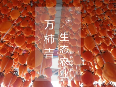 万柿吉·富平柿饼 (4)