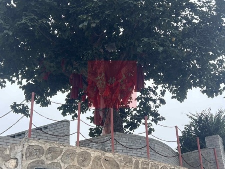 万柿吉·富平柿饼 (10)