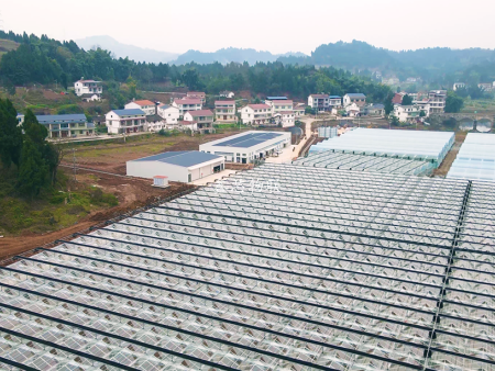 安岳蔬菜示范基地4