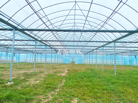 安岳蔬菜示范基地1