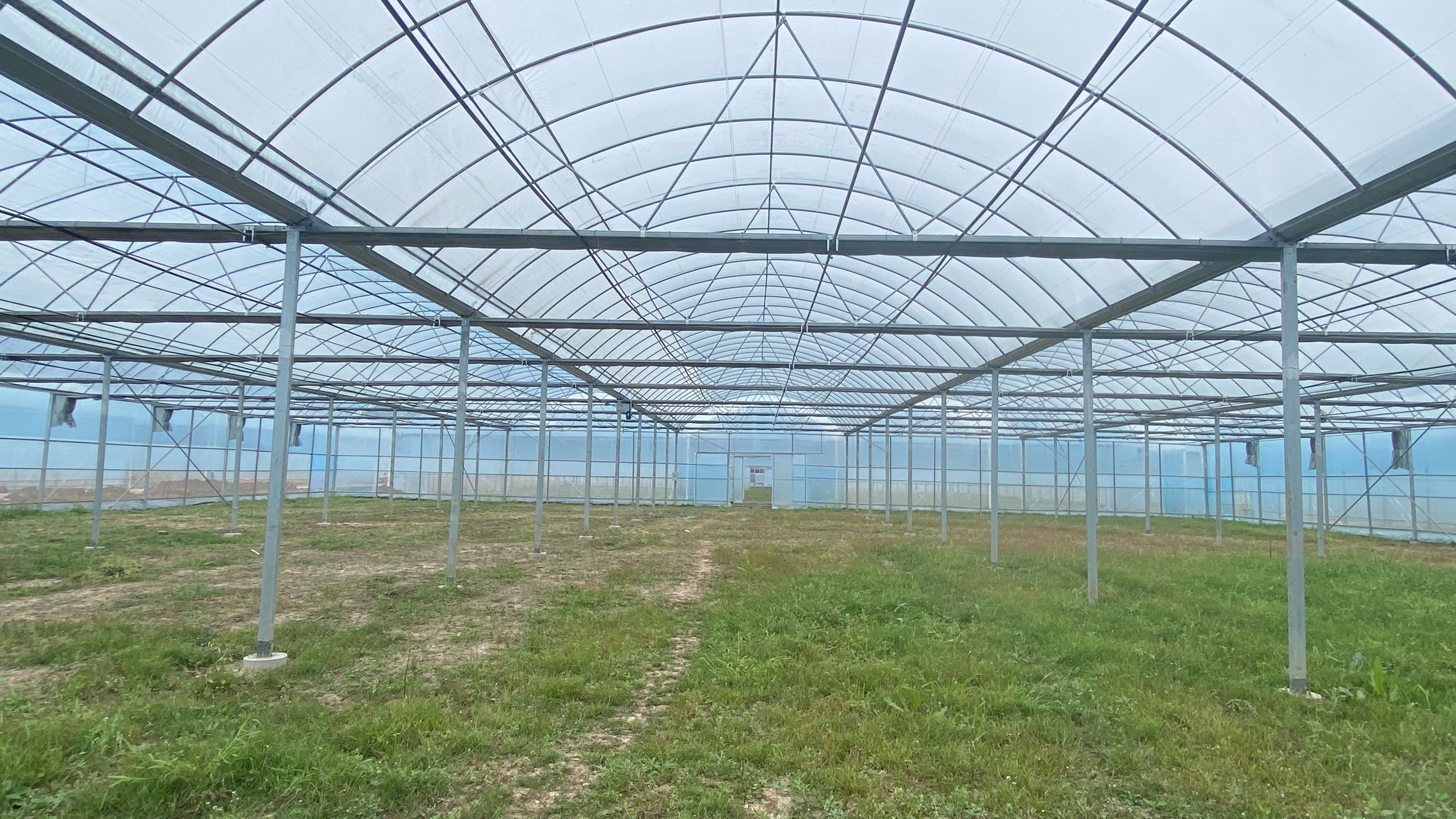 安岳蔬菜示范基地智慧農業項目