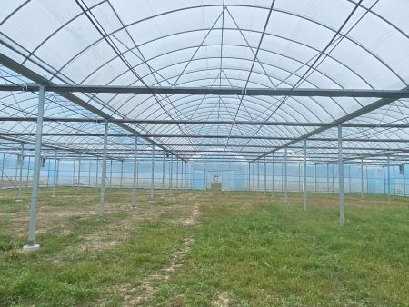 安岳蔬菜示范基地智慧农业项目