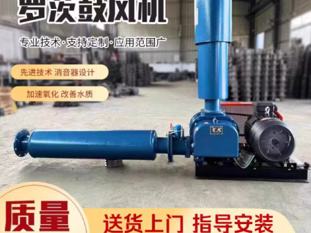 三叶罗茨鼓风机水产养殖鱼塘曝气增氧机污水处理气力输送高压风机