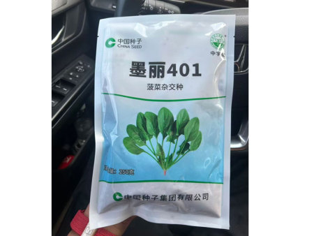 墨丽401菠菜杂交种