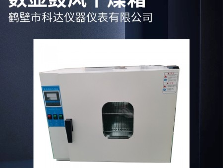 電熱鼓風干燥箱在煤炭干燥中的實操方法