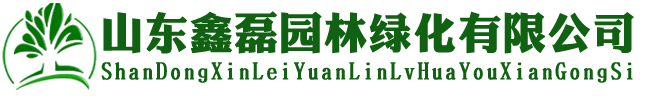 山东大型造型黑松油松批发基地