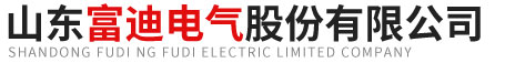 山东富迪电气股份有限公司.