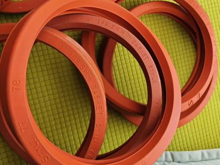 氟橡胶密封圈