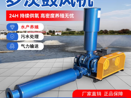 罗茨鼓风机三叶罗茨风机气力输送泵负压鼓风机气力输送泵风机