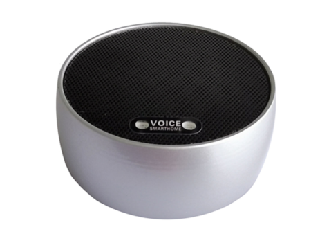 离线语音控制器