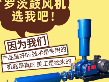 三叶罗茨风机鱼塘增氧机气力输送污水处理水产养殖曝气高压鼓风机