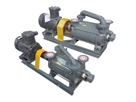 2SK 系列水环式真空泵