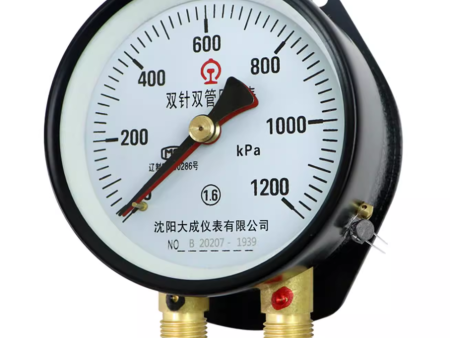 YZS102双针双管压力表