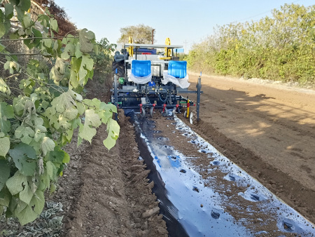 旋耕起垄铺膜移栽一体机