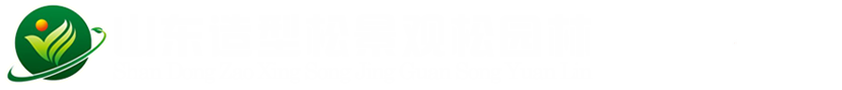 泰山龙泉盆景园