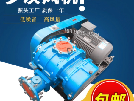 三叶罗茨风机鱼塘增氧机气力输送污水处理水产养殖曝气高压鼓风机