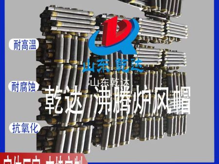 山東乾達 沸騰爐風(fēng)帽