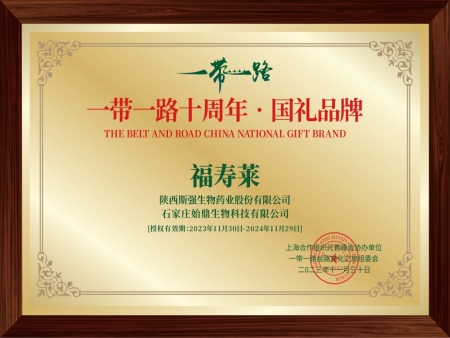 国礼品牌 一带一路十周年